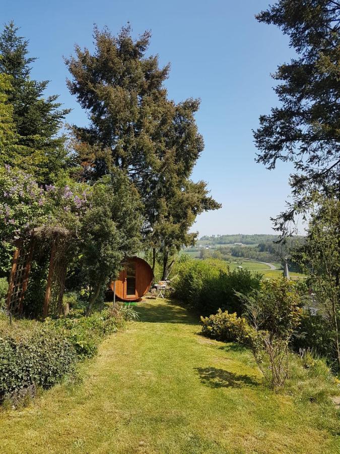 Ferienwohnung Eifelliebe Udler Exterior foto